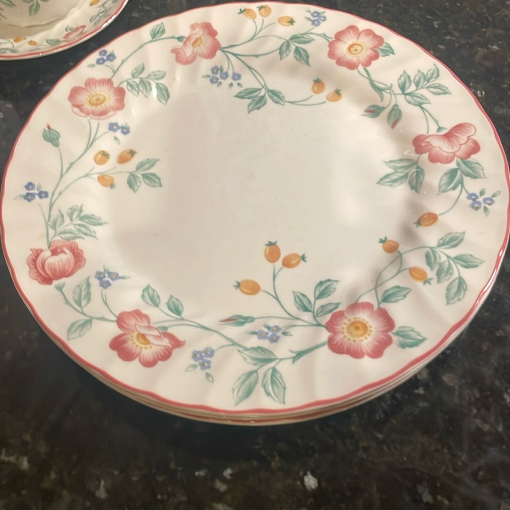 Dinner size plates Churchill Stafford plates Briar Rose